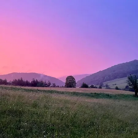 Pod Katem Ostrym ヴィラ Ropki