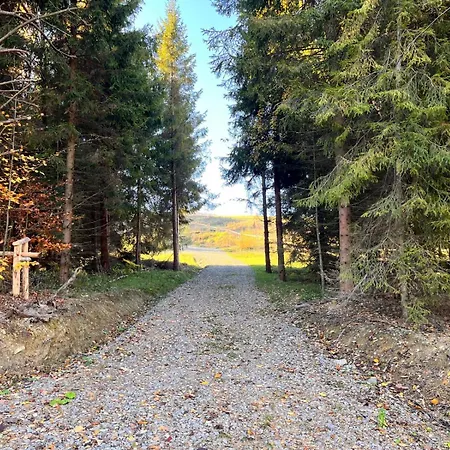 Pod Katem Ostrym ヴィラ *