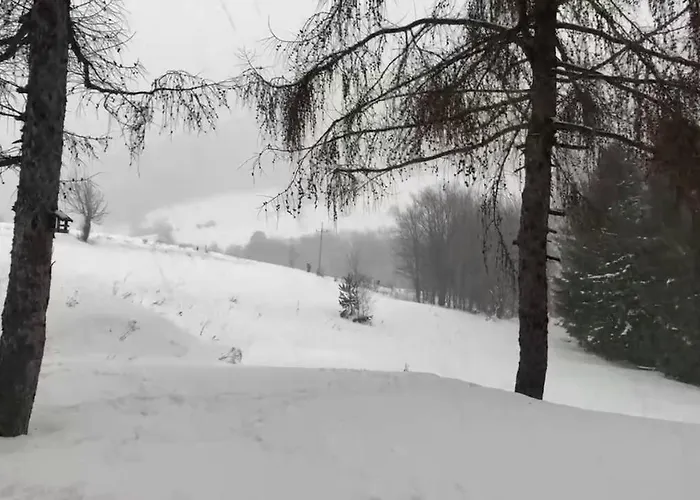 Willa Pod Kątem Ostrym Ropki